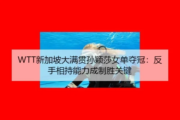 xin-jia-po-da-man-guan-sun-ying-sha-nv-dan-duo-guan-fan-shou-xiang-chi-neng-li-cheng-zhi-sheng-guan-jian-2-632.jpg